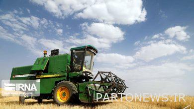 Food security by implementing agricultural chain financing