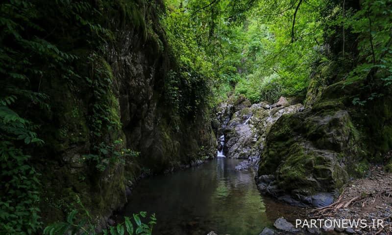 Lawton Falls