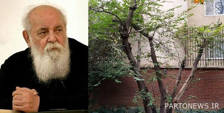The burial time of Ibtahaj's body was determined