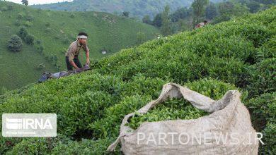 تسهیلات کارآفرینی به ۴۰ روستای مازندران پرداخت شد