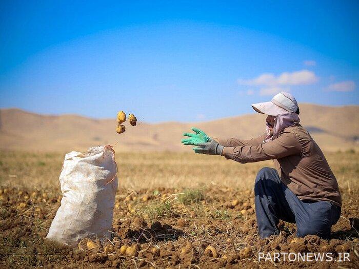 Migration made Gonabad old / The need to develop rural employment 