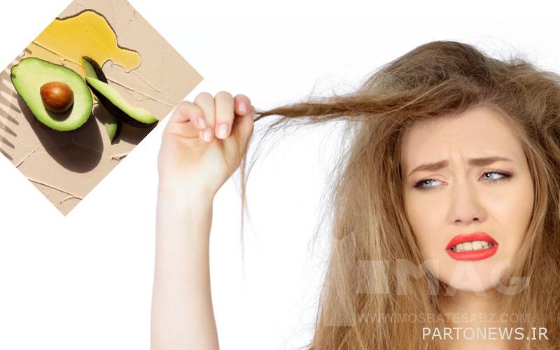 Hair loss treatment with avocado