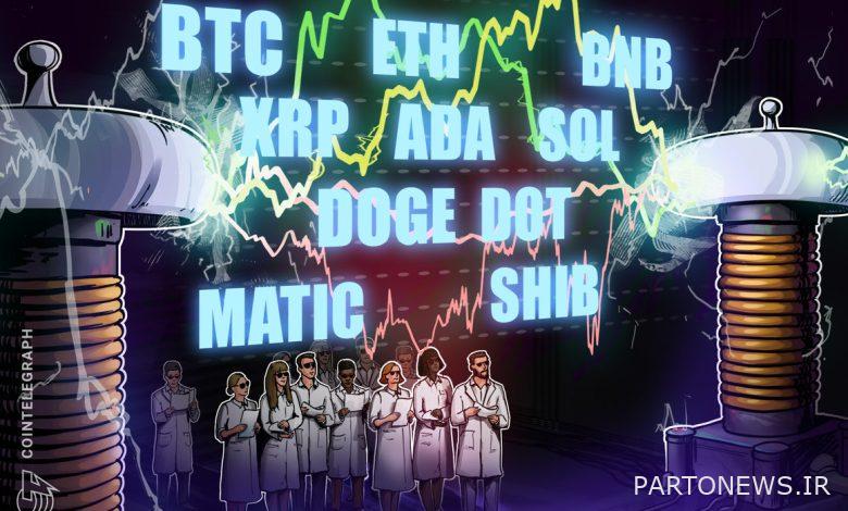 BTC، ETH، BNB، XRP، ADA، SOL، DOGE، DOT، MATIC، SHIB