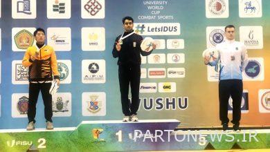 كأس العالم لرياضات الدفاع عن النفس لطلاب العالم وحصل طه بديع على الميدالية البرونزية والمجيري بالميدالية الذهبية