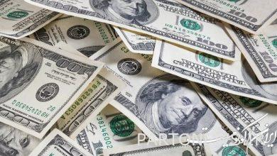 How much did the price of the dollar and euro change?