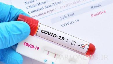 The latest situation of Corona in the country/identification of 646 new patients in the last day and night