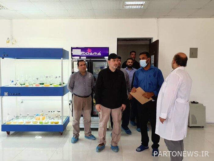 The country's largest microalgae producer was opened in Qeshm