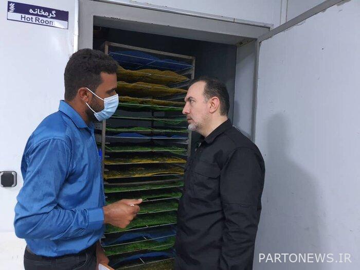 The country's largest microalgae producer was opened in Qeshm