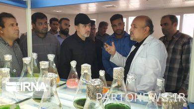 بزرگترین شرکت تولید کننده ریز جلبک کشور در قشم افتتاح شد