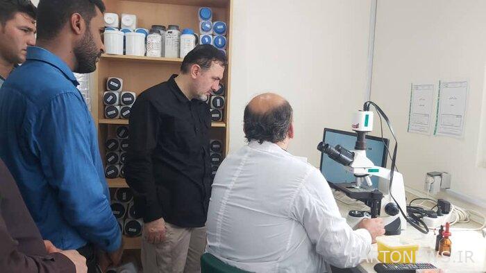 تم افتتاح أكبر منتج للطحالب الدقيقة في البلاد في قشم