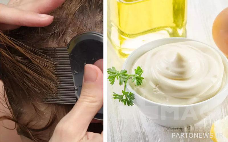 Mayonnaise for lice