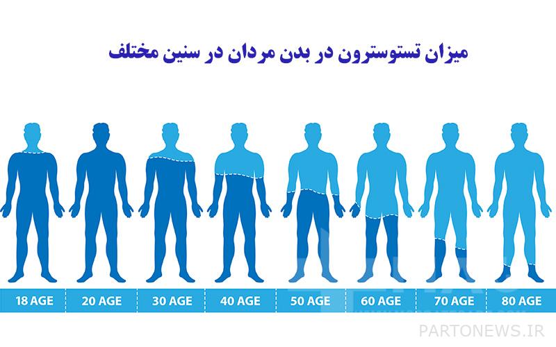 The amount of testosterone in the body of men at different ages