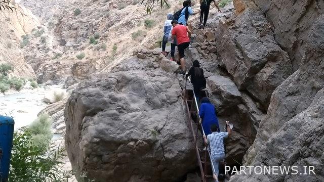 ماء الجراد