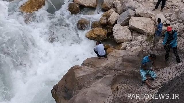 ماء الجراد