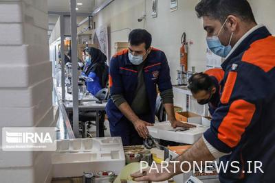 Simultaneous study and employment of students/ creation of 160 skill-oriented fields in Razavi Khorasan