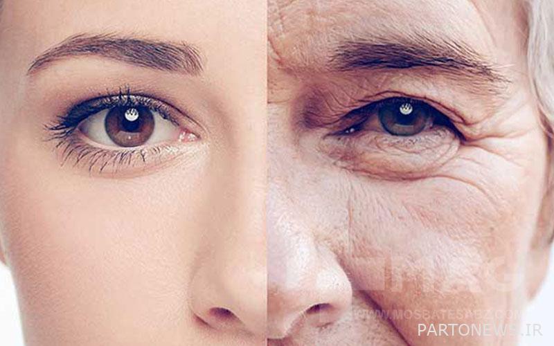 Collagen for skin rejuvenation