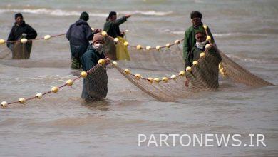 Extension of the ban on commercial fishing of Caspian sturgeon
