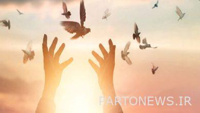 The release of 204 prisoners in Fars province/ 55 releases are related to the recent riots