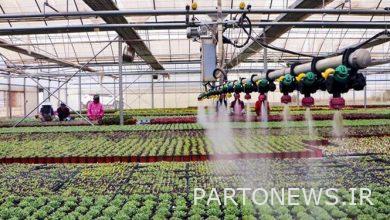 تقديم مقترحين لحل مشكلة المياه / زيادة إنتاجية المياه