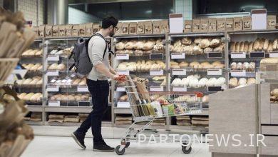 بلغ معدل التضخم الهولندي 16.8٪