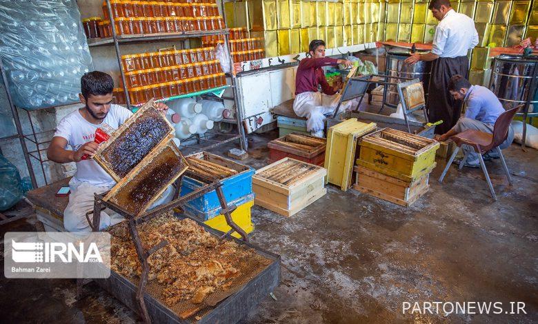 خانواده کارآفرین کرمانشاهی؛ تولیدکنندگانی که ۱۰ کندوی زنبور عسل را ۲۰۰ برابر کردند