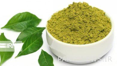 حَنا تسکینی جاودانه و شفایی بی نظیر نزد جزیره نشینان قشم