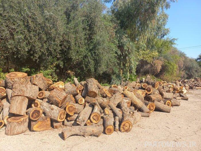 إنهاء عقد مقاول Lale Dezful Forest Park مدرج في جدول الأعمال