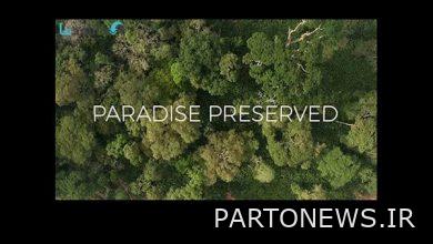 "Protected Paradise" will be broadcast on Panj Sima channel - Mehr news agency  Iran and world's news