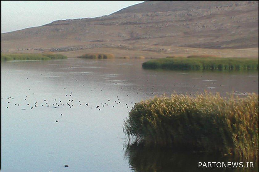 Bisheh Dalan wetland and the possibility of developing ecotourism in Borujerd