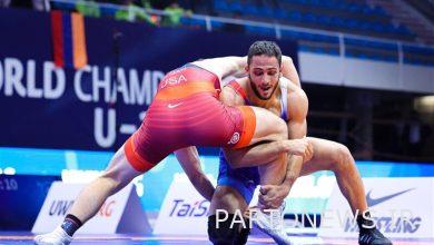 The vineyard stood on the roof of the free ship of the country - Mehr news agency Iran and world's news