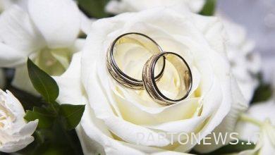 Marriage of 518 people in the country through Hamdam platform - Mehr news agency Iran and world's news