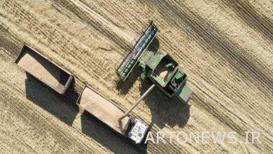 بدأت البورصة السلعية المصرية بمزاد القمح الروسي