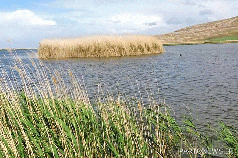 أذربيجان الغربية