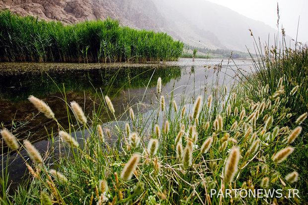 أرض بيشة دالان الرطبة
