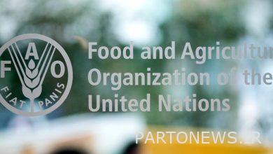 FAO reported: Iran is among the first 9 countries producing 20 agricultural products in the world