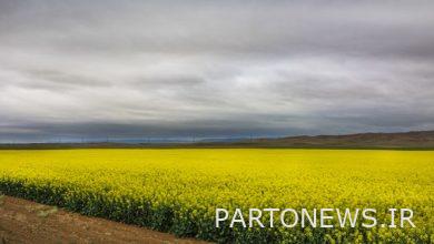 Value added tax on oilseeds was reduced to 1%