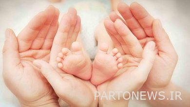 The national system of "Healthy Fertility" was unveiled