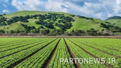 The need to speed up the formation of the Supreme Soil Council