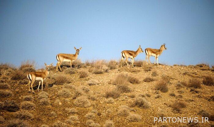 Protected areas of Lorestan