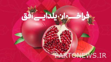 Egogh Network is ready to receive popular videos on Yalda Night - Mehr News Agency Iran and world's news