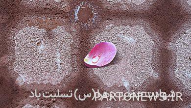 Gharibaneh during the martyrdom of Hazrat Zahra (PBUH)