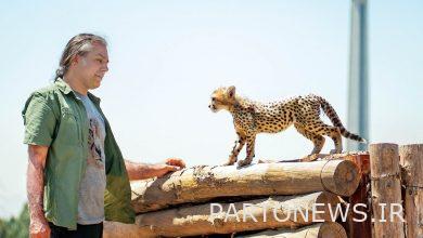 Can the winner live in the wild world?