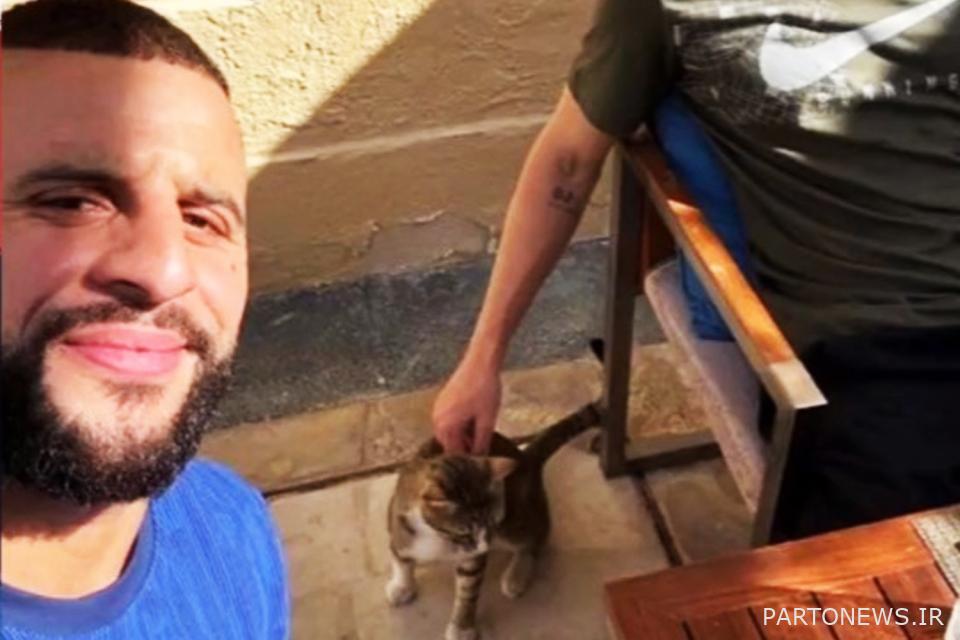 واکر آنقدر گربه را دوست دارد که ممکن است آن را به خانه بیاورد