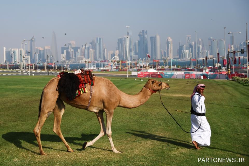 گریلیش دوست جدیدی پیدا کرد