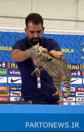 خوشبختانه او گربه ها را بیشتر از یکی از مقامات رسانه ای برزیل دوست دارد