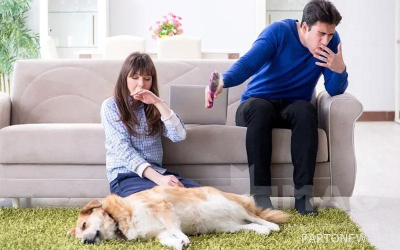 Allergy to pet dander