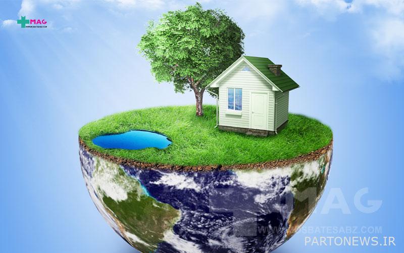 Natural solutions to remove air pollution at home پرتو نیوز