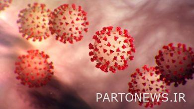 The latest corona virus situation in the country/ death of 3 covid19 patients