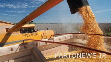 Russian grain conference is held