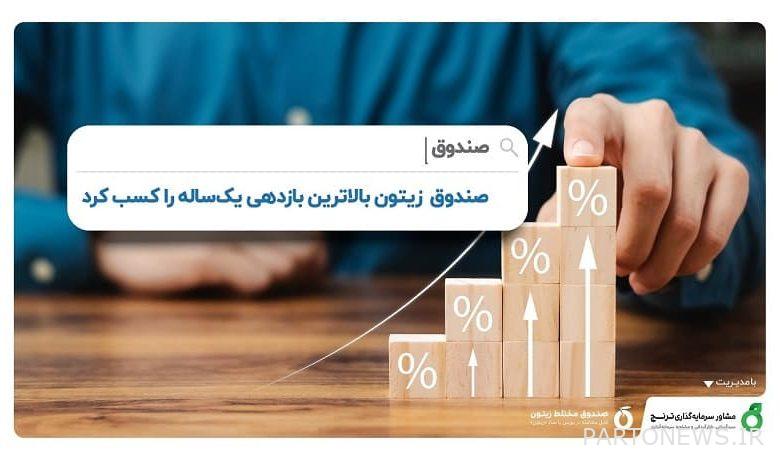 صندوق الزيتون حقق أعلى عائد عام 2022 - تجارت نيوز